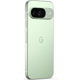 Смартфон Google Pixel 9 12/128Gb Wintergreen