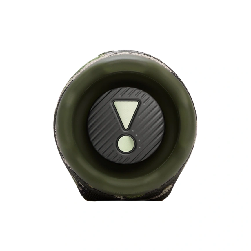 Портативная колонка JBL Charge 6 Squad фото 4