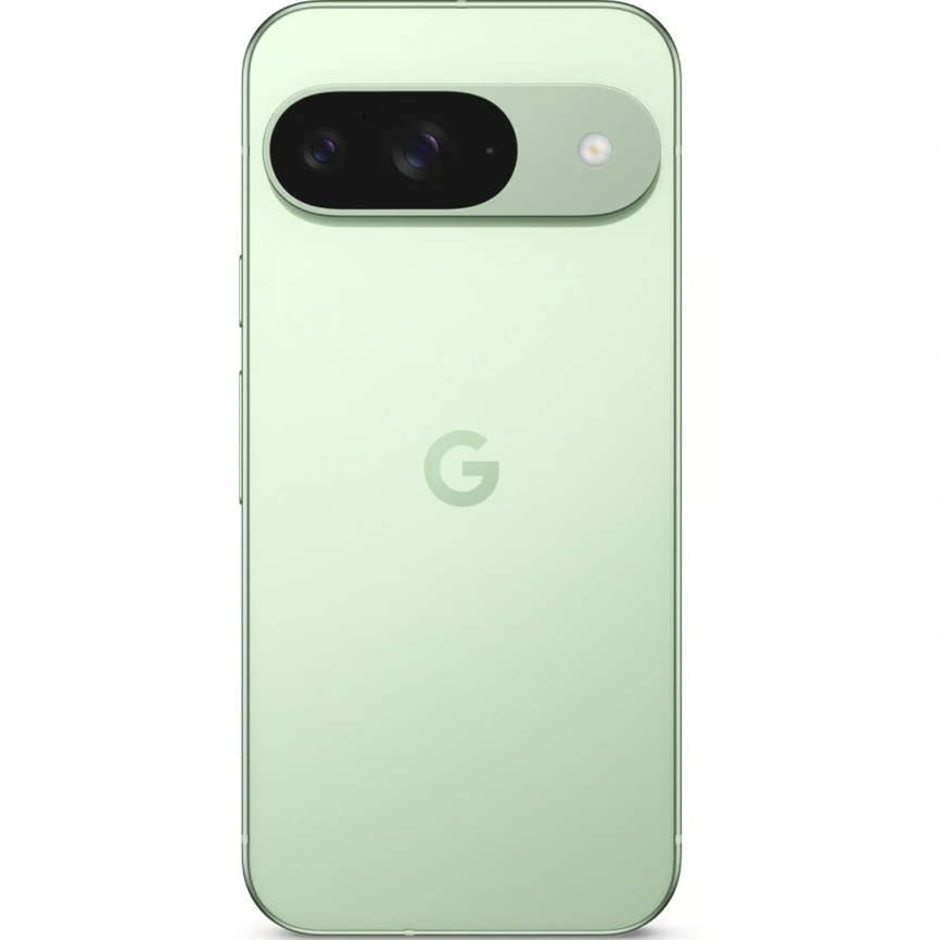 Смартфон Google Pixel 9 12/128Gb Wintergreen фото 2