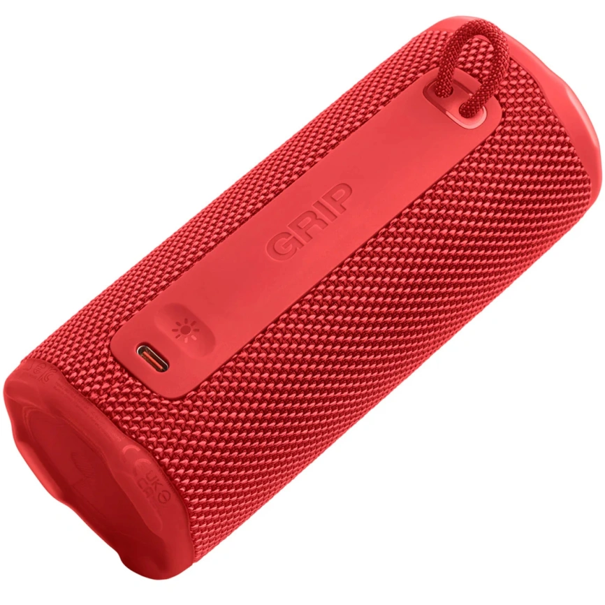 Портативная колонка JBL Grip Red фото 4